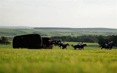 hexham races today|Hexham Tips, Racecards And Results Today .